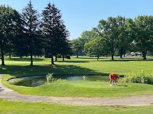 Pines Golf Club place picture